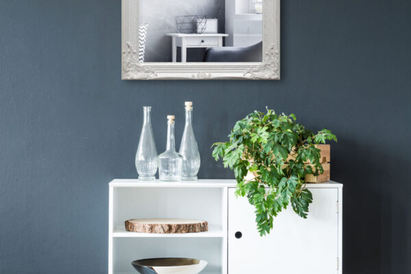 White cupboard with plants standing on a black wall