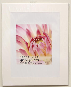 Pasp.PHN SnowWhiteWC40x50