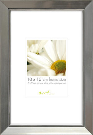 Elegant Silver 10x15