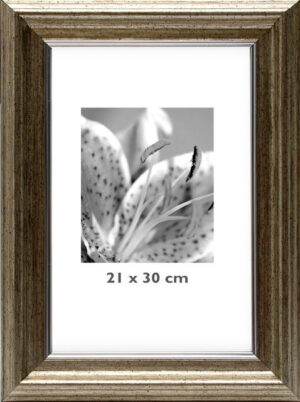 Johan Small Champ 21x30