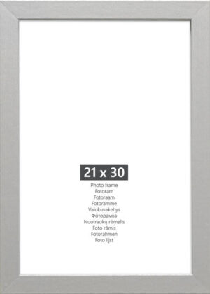 Nina Silver MDF 21x30