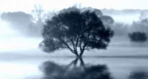 Canvas Sprint Tree 70x130