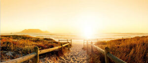 Canvas Beach 60x140