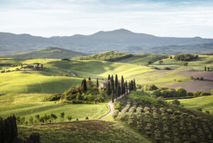 Canvas Tuscany 80x120