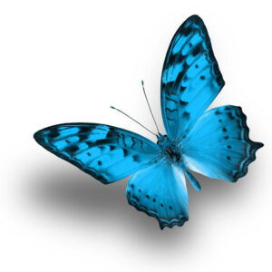 Glass BlueButterfly 30x30
