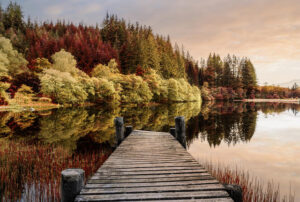 Glass Autumn Path 80x120
