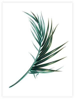 Poster Palm Leaf 30x40