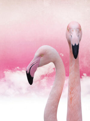 Poster PinkFlamingos30x40