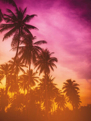 Post.Beach at Sunset30x40